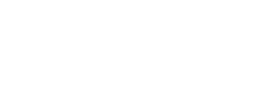 limia logo